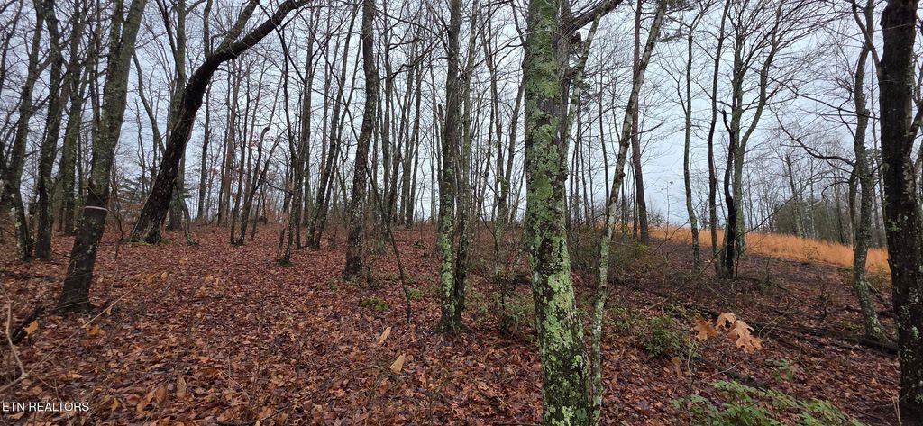 Photo of 786 Eastridge Pass, Monterey, TN 38574 (MLS # 1327163)