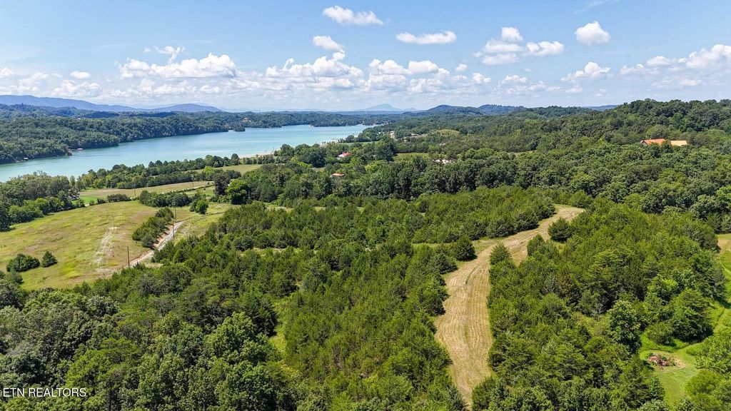 Photo of 1420 Swannsylvania Rd, Dandridge, TN 37725 (MLS # 1313075)