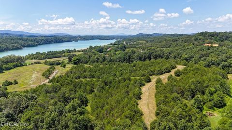 1420 Swannsylvania Rd Dandridge TN 37725