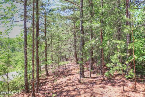 Tiny photo for 451 Crystal Springs Rd, Rockwood, TN 37854 (MLS # 1317174)