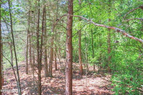 Tiny photo for 451 Crystal Springs Rd, Rockwood, TN 37854 (MLS # 1317174)