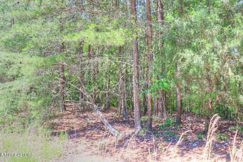 Photo of 451 Crystal Springs Rd, Rockwood, TN 37854 (MLS # 1317174)