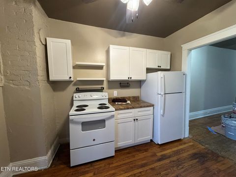Tiny photo for 903 Luttrell St, Knoxville, TN 37917 (MLS # 1330030)