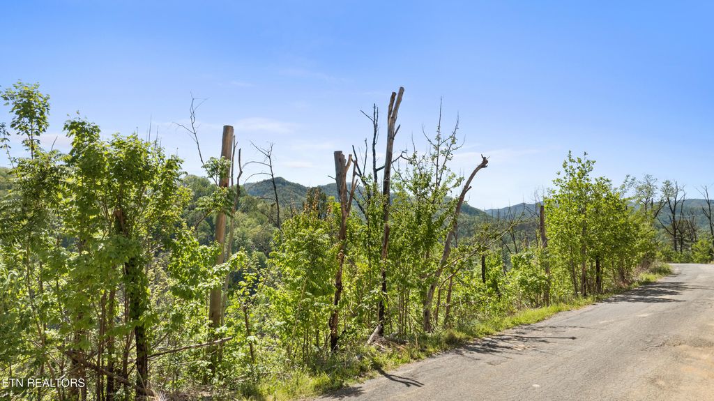 Photo of Headrick Lead, Sevierville, TN 37862 (MLS # 1337263)