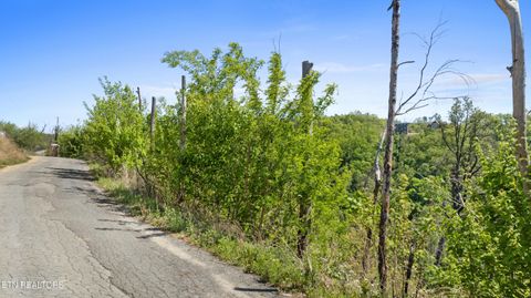 Tiny photo for Headrick Lead, Sevierville, TN 37862 (MLS # 1337263)