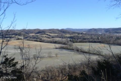 Tiny photo for 552 Cabin Hill Rd, Celina, TN 38551 (MLS # 1327300)