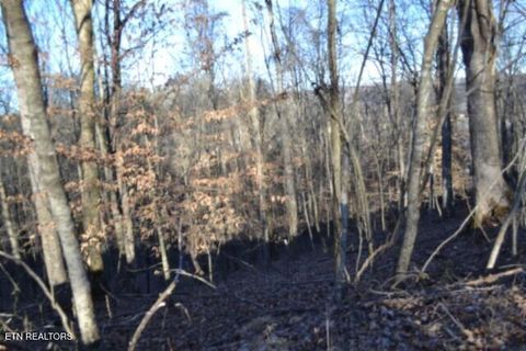 Tiny photo for 552 Cabin Hill Rd, Celina, TN 38551 (MLS # 1327300)