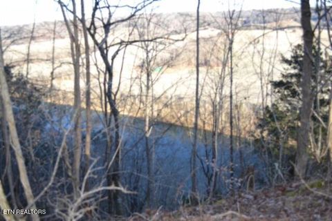 Tiny photo for 552 Cabin Hill Rd, Celina, TN 38551 (MLS # 1327300)