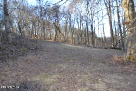 Tiny photo for 552 Cabin Hill Rd, Celina, TN 38551 (MLS # 1327300)