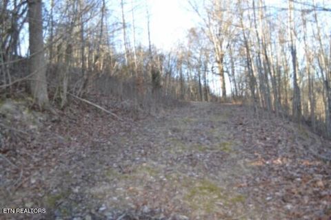 Tiny photo for 552 Cabin Hill Rd, Celina, TN 38551 (MLS # 1327300)
