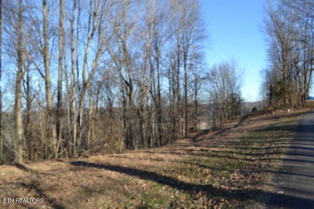 Photo of 552 Cabin Hill Rd, Celina, TN 38551 (MLS # 1327300)