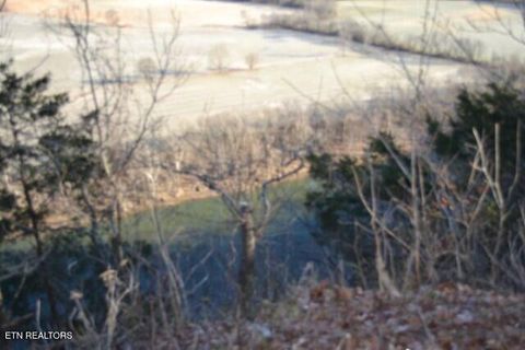 Tiny photo for 552 Cabin Hill Rd, Celina, TN 38551 (MLS # 1327300)