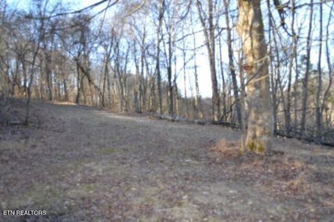 Tiny photo for 552 Cabin Hill Rd, Celina, TN 38551 (MLS # 1327300)