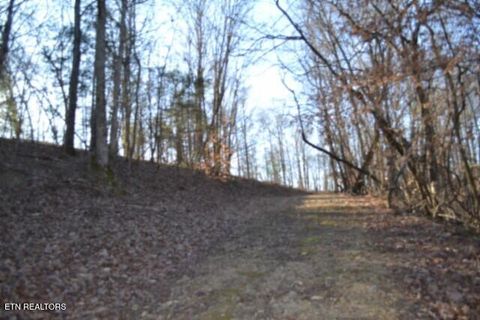 Tiny photo for 552 Cabin Hill Rd, Celina, TN 38551 (MLS # 1327300)