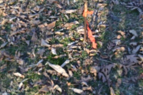 Tiny photo for 552 Cabin Hill Rd, Celina, TN 38551 (MLS # 1327300)