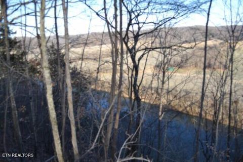 Tiny photo for 552 Cabin Hill Rd, Celina, TN 38551 (MLS # 1327300)