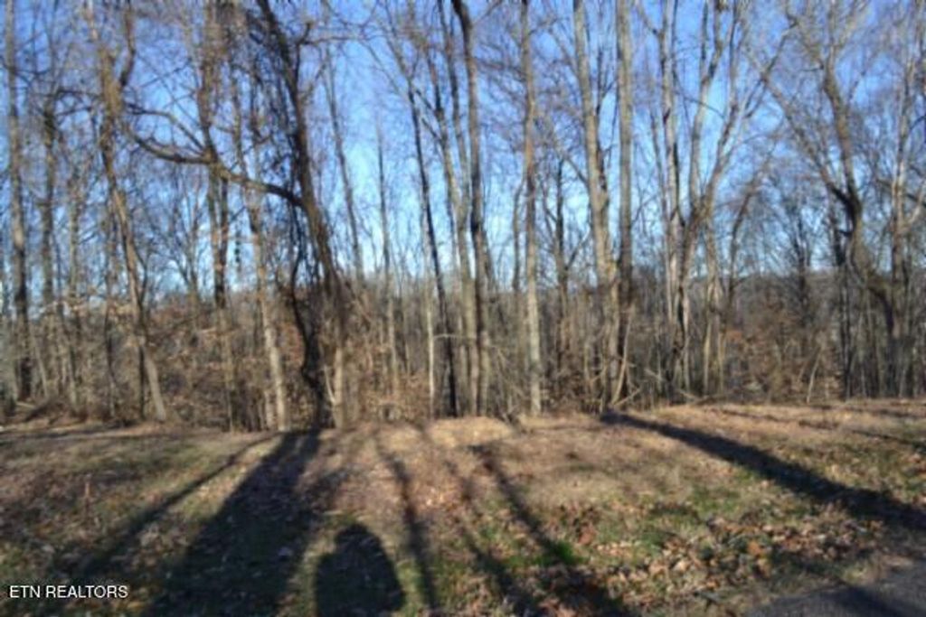 Photo of 552 Cabin Hill Rd, Celina, TN 38551 (MLS # 1327300)