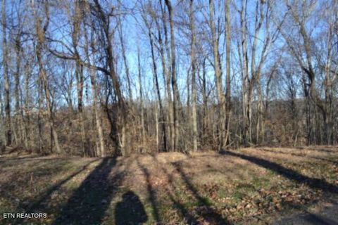 Tiny photo for 552 Cabin Hill Rd, Celina, TN 38551 (MLS # 1327300)