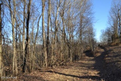 Tiny photo for 552 Cabin Hill Rd, Celina, TN 38551 (MLS # 1327300)