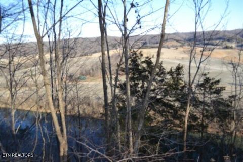 Tiny photo for 552 Cabin Hill Rd, Celina, TN 38551 (MLS # 1327300)