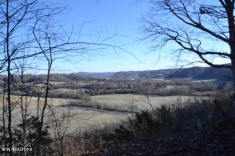 Tiny photo for 552 Cabin Hill Rd, Celina, TN 38551 (MLS # 1327300)