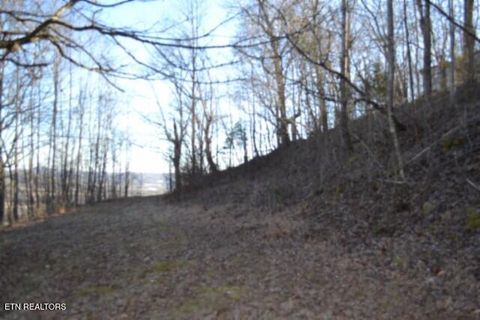Tiny photo for 552 Cabin Hill Rd, Celina, TN 38551 (MLS # 1327300)