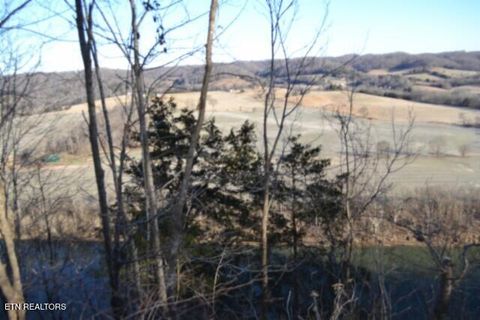 Tiny photo for 552 Cabin Hill Rd, Celina, TN 38551 (MLS # 1327300)