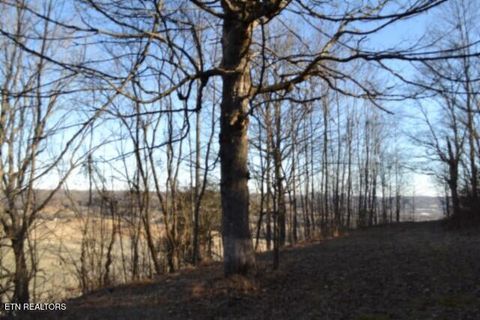 Tiny photo for 552 Cabin Hill Rd, Celina, TN 38551 (MLS # 1327300)