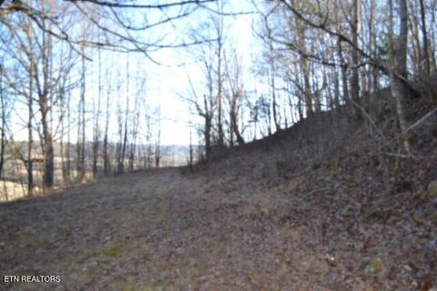 Tiny photo for 552 Cabin Hill Rd, Celina, TN 38551 (MLS # 1327300)