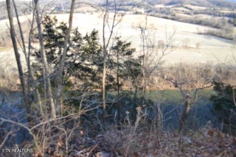 Tiny photo for 552 Cabin Hill Rd, Celina, TN 38551 (MLS # 1327300)