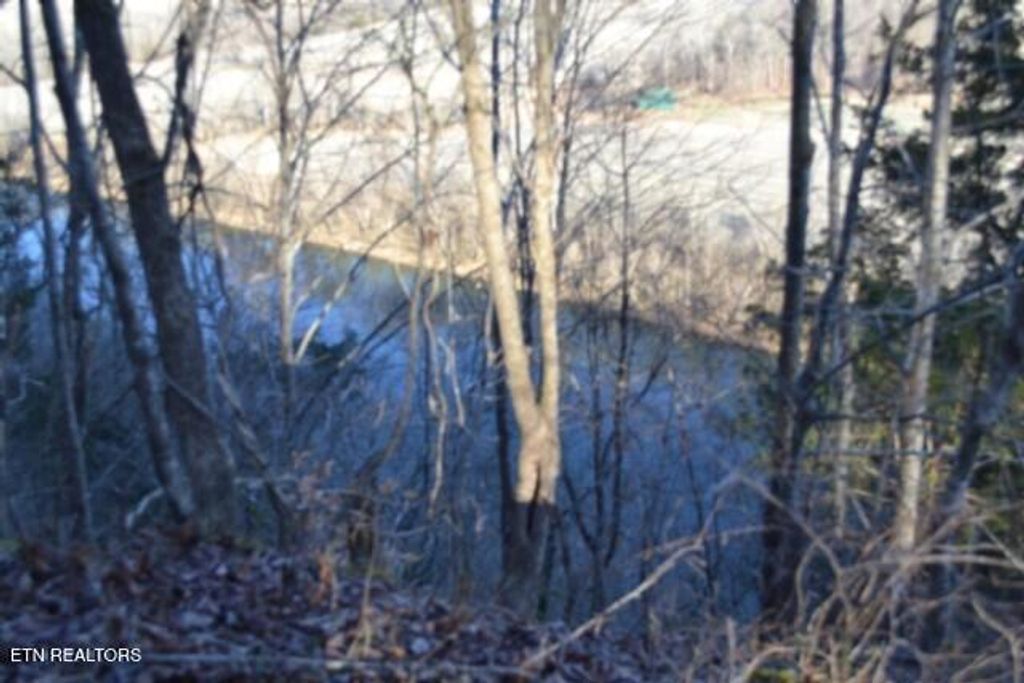 Photo of 552 Cabin Hill Rd, Celina, TN 38551 (MLS # 1327300)