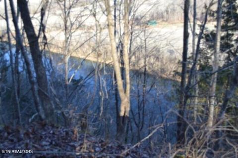 Photo of 552 Cabin Hill Rd, Celina, TN 38551 (MLS # 1327300)