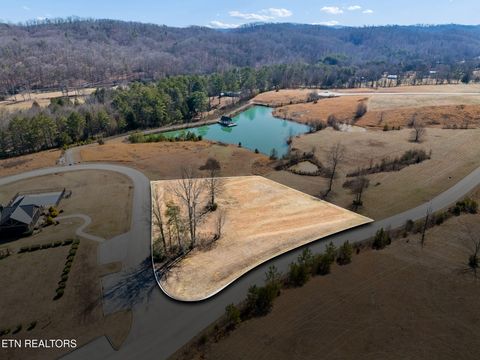 Photo of 332 Enclave Way, Kingston, TN 37763 (MLS # 1330016)