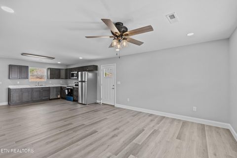 Tiny photo for 111 Millie Rd, Dandridge, TN 37725 (MLS # 1331913)