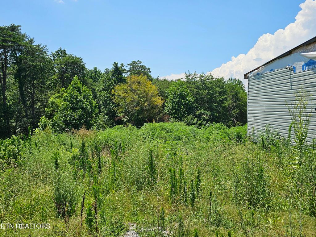 Photo of 400 Shaddon Rd, Tellico Plains, TN 37385 (MLS # 1319272)
