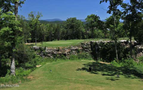 Tiny photo for 137 Heavenberry St #Lot 97B, Oak Ridge, TN 37830 (MLS # 1349792)
