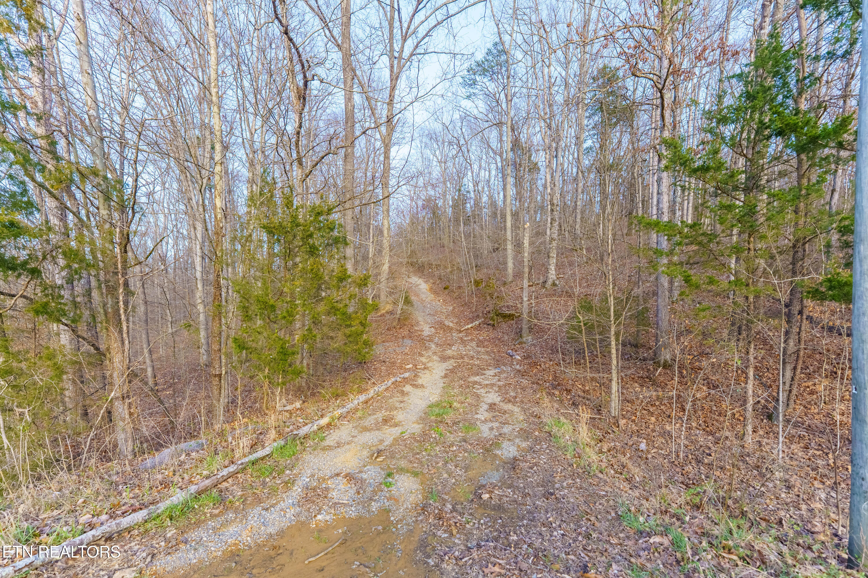 Douglas Dam Rd