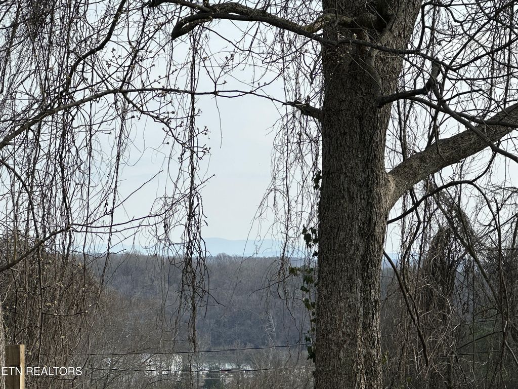 Photo of 900 W 2nd Ave, Lenoir City, TN 37771 (MLS # 1331721)