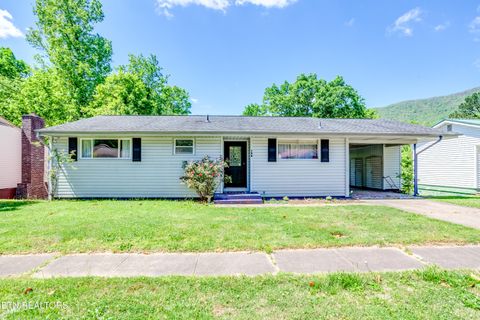 Photo of 135 Upper Airbase Lane, Briceville, TN 37710 (MLS # 1339346)
