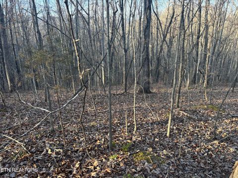 Tiny photo for Kay Drive, LaFollette, TN 37766 (MLS # 1325437)