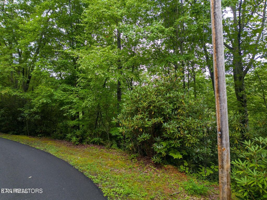 Photo of Black Gum Gap Rd, Gatlinburg, TN 37738 (MLS # 1297542)