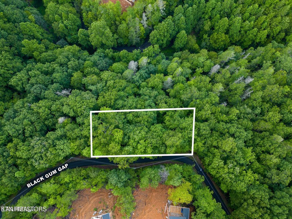 Photo of Black Gum Gap Rd, Gatlinburg, TN 37738 (MLS # 1297542)