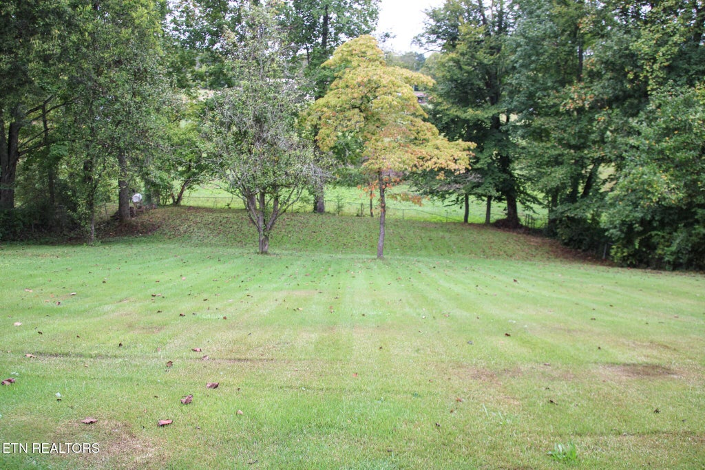 Photo of 314 S Apache Rd, Clinton, TN 37716 (MLS # 1357888)