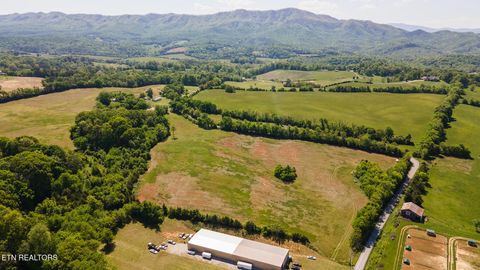 Tiny photo for 822 Sunlight Rd, Parrottsville, TN 37843 (MLS # 1338510)