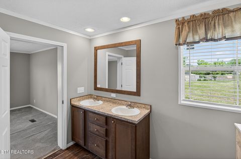 Tiny photo for 822 Sunlight Rd, Parrottsville, TN 37843 (MLS # 1338510)