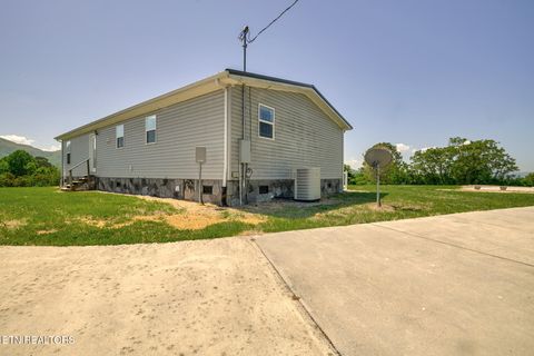 Tiny photo for 822 Sunlight Rd, Parrottsville, TN 37843 (MLS # 1338510)