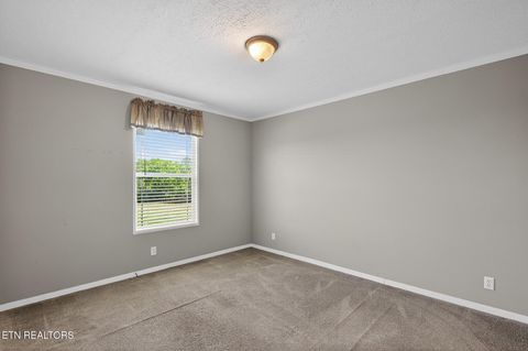 Tiny photo for 822 Sunlight Rd, Parrottsville, TN 37843 (MLS # 1338510)