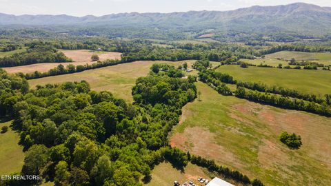 Tiny photo for 822 Sunlight Rd, Parrottsville, TN 37843 (MLS # 1338510)