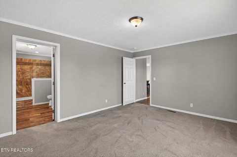 Tiny photo for 822 Sunlight Rd, Parrottsville, TN 37843 (MLS # 1338510)