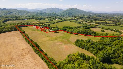 Tiny photo for 822 Sunlight Rd, Parrottsville, TN 37843 (MLS # 1338510)